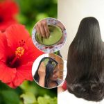 Hibiscus Leaves: మందార ఆకులను ఇలా వాడితే.. జుట్టు వద్దన్నా పెరుగుతుంది !