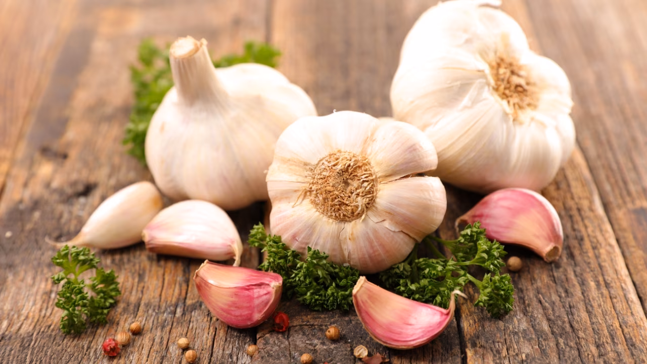 Garlic Benefits: ఉదయం పూట వెల్లుల్లి తింటే.. ఎన్ని లాభాలో తెలుసా ?