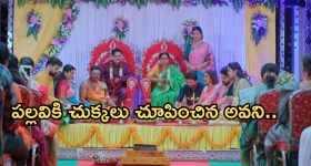 AP Liquor Case: ఏపీ లిక్కర్ కేసులో న్యూ ట్విస్ట్.. ఫామ్ హౌస్‌ని రౌండప్ చేసిన అధికారులు, రూ.11 కోట్లు సీజ్