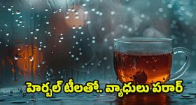 Jagan: మేం అధికారంలోకి వస్తే మీ పరిస్థితి ఏంటి? సీఎం చంద్రబాబుపై జగన్ ఆగ్రహం