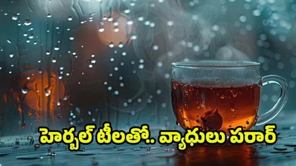 Herbal Tea: వర్షాకాలంలో వ్యాధుల బారిన పడకుండా ఉండాలంటే ?