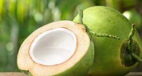 Raw Coconut: పచ్చి కొబ్బరి తినడం వల్ల.. ఎన్ని లాభాలుంటాయో తెలుసా ?
