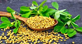 Fenugreek Leaves: మెంతి కూరతో.. బోలెడు ఆరోగ్య ప్రయోజనాలు !