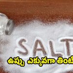 Salt: ఉప్పు ఎక్కువగా తింటే.. ఈ రోగాలు ఖాయం ! పరిశోధనల్లో షాకింగ్ నిజాలు !