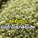 40 Years once rice: 40 ఏళ్లకు ఒకసారి పండే బియ్యం.. ఇవి తింటే కొండలు పిండి చేస్తారట!
