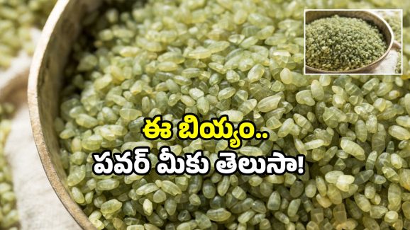 40 Years once rice: 40 ఏళ్లకు ఒకసారి పండే బియ్యం.. ఇవి తింటే కొండలు పిండి చేస్తారట!