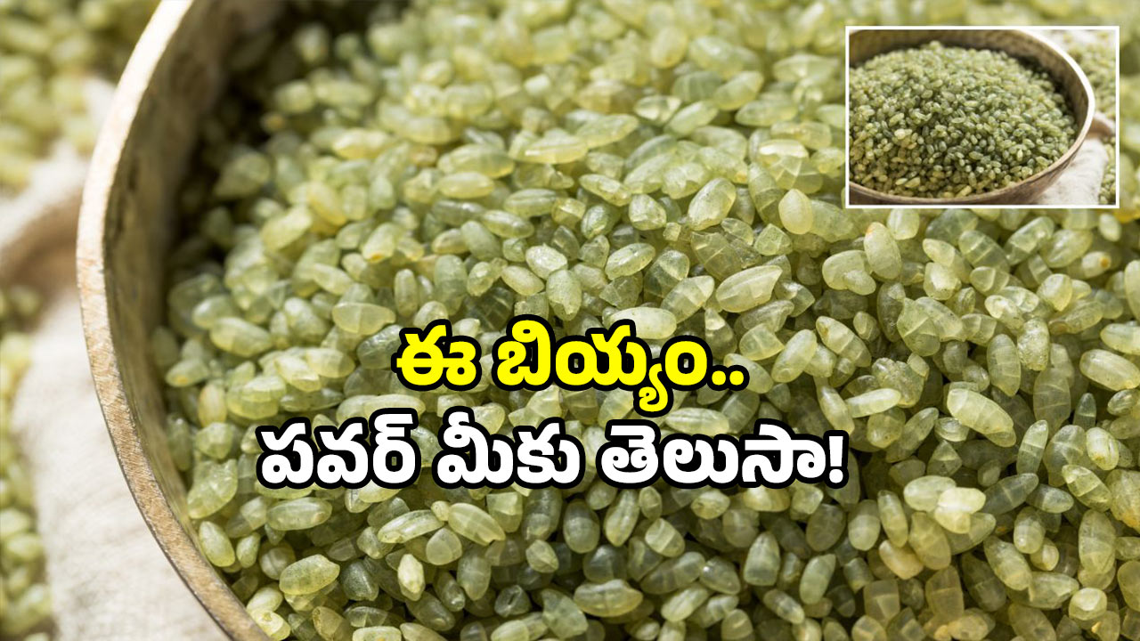 40 Years once rice: 40 ఏళ్లకు ఒకసారి పండే బియ్యం.. ఇవి తింటే కొండలు పిండి చేస్తారట!