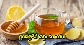 Cough Home Remedies: దగ్గు క్షణాల్లోనే తగ్గించే.. హోం రెమెడీస్ ఇవే !