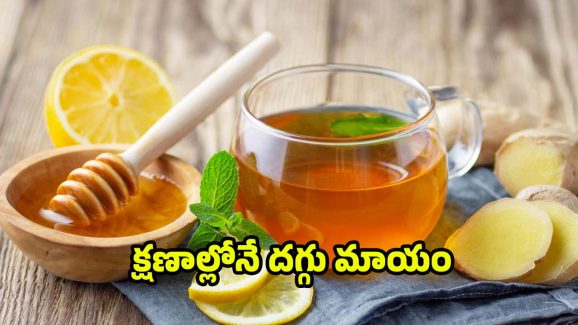 Cough Home Remedies: దగ్గు క్షణాల్లోనే తగ్గించే.. హోం రెమెడీస్ ఇవే !