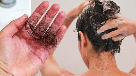 Daily Head Shower: రోజూ తలస్నానం చేస్తే.. జుట్టు ఎక్కువగా ఊడిపోతుందా ? ఇందులో నిజమెంత ?