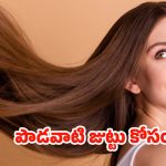 Juice For Hair Growth: ఈ ఒక్క జ్యూస్ తాగితే చాలు.. జుట్టు వద్దన్నా పెరుగుతుంది !