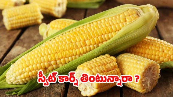 Sweetcorn Benefits: స్వీట్‌కార్న్ తింటే.. ఎన్ని లాభాలో తెలుసా ?