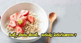 Fahad Fazil: సినిమాలకు రిటైర్మెంట్... ఆ పని చేస్తానంటున్న పుష్ప విలన్.. ఇదేం కోరిక సామి?