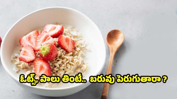 Oats With Milk: ఓట్స్ పాలలో కలిపి తింటే.. బరువు పెరుగుతారా ?