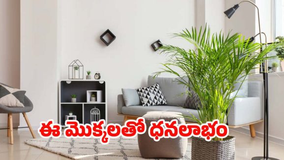 Vastu Tips: ఈ మొక్కలు మీ ఇంట్లో ఉంటే.. లక్ష్మీ దేవి కటాక్షం ఉన్నట్లే