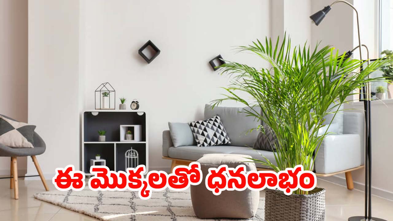 Vastu Tips: ఈ మొక్కలు మీ ఇంట్లో ఉంటే.. లక్ష్మీ దేవి కటాక్షం ఉన్నట్లే