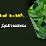 Ponnaganti Leaves: పొన్నగంటి కూర తింటే.. ఈ రోగాలన్నీ పరార్ !