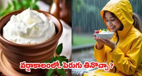 Curd In Rainy Season: వర్షాకాలంలో పెరుగు తింటున్నారా ? నిపుణులు ఏం చెబుతున్నారంటే ?