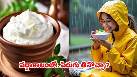 Curd In Rainy Season: వర్షాకాలంలో పెరుగు తింటున్నారా ? నిపుణులు ఏం చెబుతున్నారంటే ?