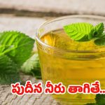 Mint Water: ఉదయం పూట పుదీనా నీరు తాగితే.. నమ్మలేనన్ని లాభాలు