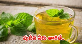Mint Water: ఉదయం పూట పుదీనా నీరు తాగితే.. నమ్మలేనన్ని లాభాలు