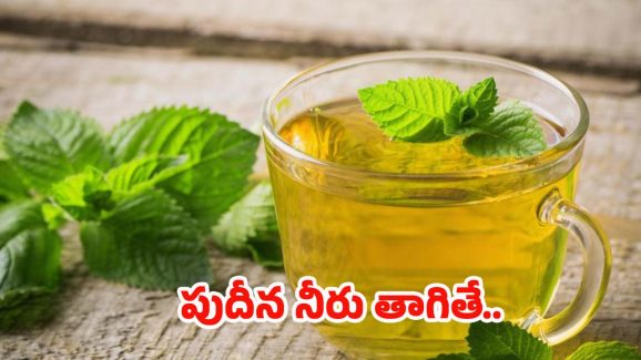Mint Water: ఉదయం పూట పుదీనా నీరు తాగితే.. నమ్మలేనన్ని లాభాలు
