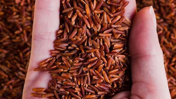 Brown Rice: బ్రౌన్ రైస్ తింటే.. ఈ ఆరోగ్య సమస్యలన్నీ పరార్ !