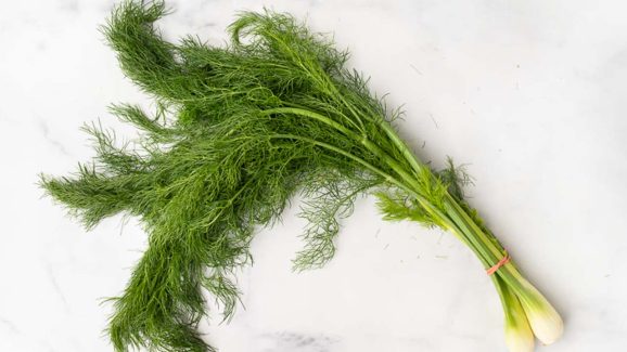 Fennel Leaves: సోంపు ఆకులతో అద్భుతమైన ప్రయోజనాలు..ఈ సమస్యలన్నీ మాయం !