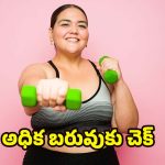 Obesity: అధిక బరువుతో ఇబ్బంది పడుతున్నారా ?  ఈ టిప్స్ పాటిస్తే బెస్ట్ రిజల్ట్