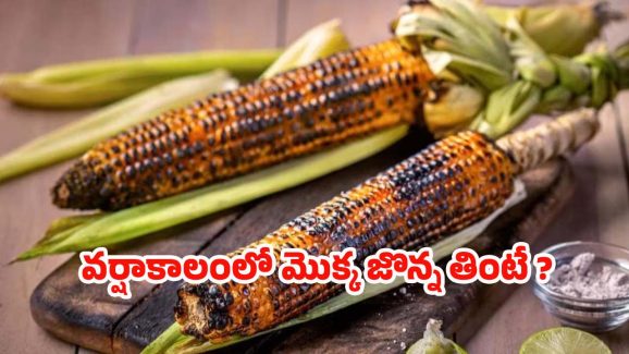 Corn Benefits: వర్షాకాలంలో మొక్కజొన్న తింటే..?