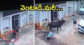 Nirupam Paritala: సీరియల్ నటుడు నిరుపమ్ రెమ్యూనరేషన్.. ఆస్తుల విలువ ఎంతో తెలుసా?
