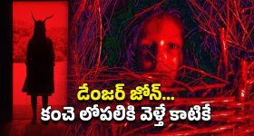 Anjana Devi: హాస్పిటల్లోనే పవన్ తల్లి అంజనా దేవి.. అసలు విషయం చెప్పిన పవన్!