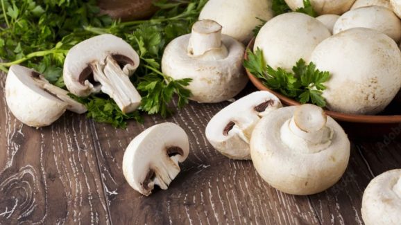 Mushroom: తరచుగా మష్రూమ్స్ తింటున్నారా ? అయితే ఈ విషయాలు తెలుసుకోవాల్సిందే !