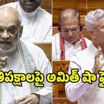 Amit Shah: మీరు మరో 20 ఏళ్లు అక్కడే ఉంటారు.. లోక్‌సభలో ప్రతిపక్షాలపై అమిత్ షా ఆగ్రహం