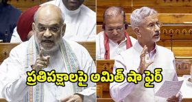 Amit Shah: మీరు మరో 20 ఏళ్లు అక్కడే ఉంటారు.. లోక్‌సభలో ప్రతిపక్షాలపై అమిత్ షా ఆగ్రహం