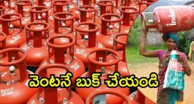 Free Gas Cylinder Updates: ఉచిత సిలిండర్ కీలక సమాచారం.. ఈనెలాఖరులోగా బుకింగ్