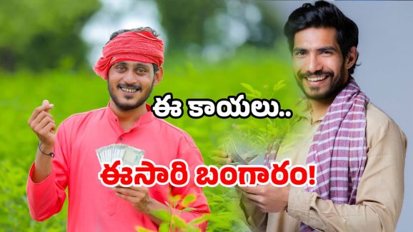 AP farmers profit: ఏపీలో పండిన బంగారం.. ఇదేం రేటు బాబోయ్!