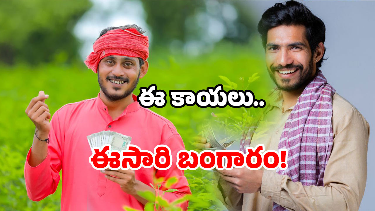 AP farmers profit: ఏపీలో పండిన బంగారం.. ఇదేం రేటు బాబోయ్!