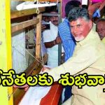 Free Electricity Scheme: ఏపీ ప్రభుత్వం మరో కబురు! వారికి ఇక పండగే, ఇంకెందుకు ఆలస్యం