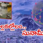 Tsunami hits: 14 ఏళ్ల తర్వాత.. ప్రపంచంలో భారీ భూకంపం, రష్యా, జపాన్‌లను తాకిన సునామీ