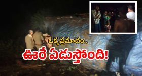 AP lorry crash: ఏపీలో ఘోర రోడ్డుప్రమాదం.. లారీ బోల్తా.. ఏడుగురు మృతి!