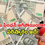 AP pension update: ఏపీ ప్రజలకు గుడ్ న్యూస్.. పెన్షన్ పై బిగ్ రిలీఫ్.. ఇలా చేయండి.. ఆలస్యం చేయొద్దు!