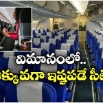 Best Seats on Plane: విమానంలో బెస్ట్ సీటు ఇదే, కంఫర్ట్ గా జర్నీ చెయ్యొచ్చు!