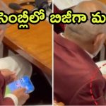 Minister Caught: అసెంబ్లీలో కెమెరాకు చిక్కిన మంత్రి.. ఫోన్ ఓపెన్ చేసి, ఓ రేంజ్‌లో ఆడేస్తున్నారు