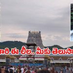 Akasha Ganga Tirumala: గోవిందా అంటూ అడవుల్లో ప్రయాణం.. ఆకాశగంగ అసలు రహస్యం ఇదే!