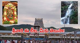 Akasha Ganga Tirumala: గోవిందా అంటూ అడవుల్లో ప్రయాణం.. ఆకాశగంగ అసలు రహస్యం ఇదే!