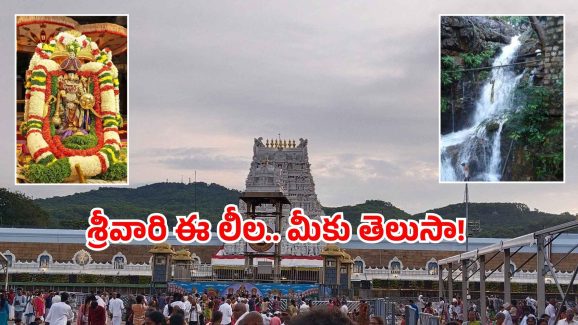 Akasha Ganga Tirumala: గోవిందా అంటూ అడవుల్లో ప్రయాణం.. ఆకాశగంగ అసలు రహస్యం ఇదే!
