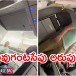 Viral Video: విమానంలో చిందులేశాడు.. కాక్‌పిట్‌లో ఛాన్స్ ఇస్తే 100 డాలర్ల ఆఫర్