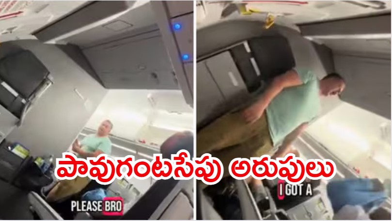 Viral Video: విమానంలో చిందులేశాడు.. కాక్‌పిట్‌లో ఛాన్స్ ఇస్తే 100 డాలర్ల ఆఫర్