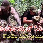 Anaconda Video: ఏం ధైర్యం బ్రో నీది.. అంత పెద్ద అనకొండను వట్టి చేతులతో పట్టేశావే..